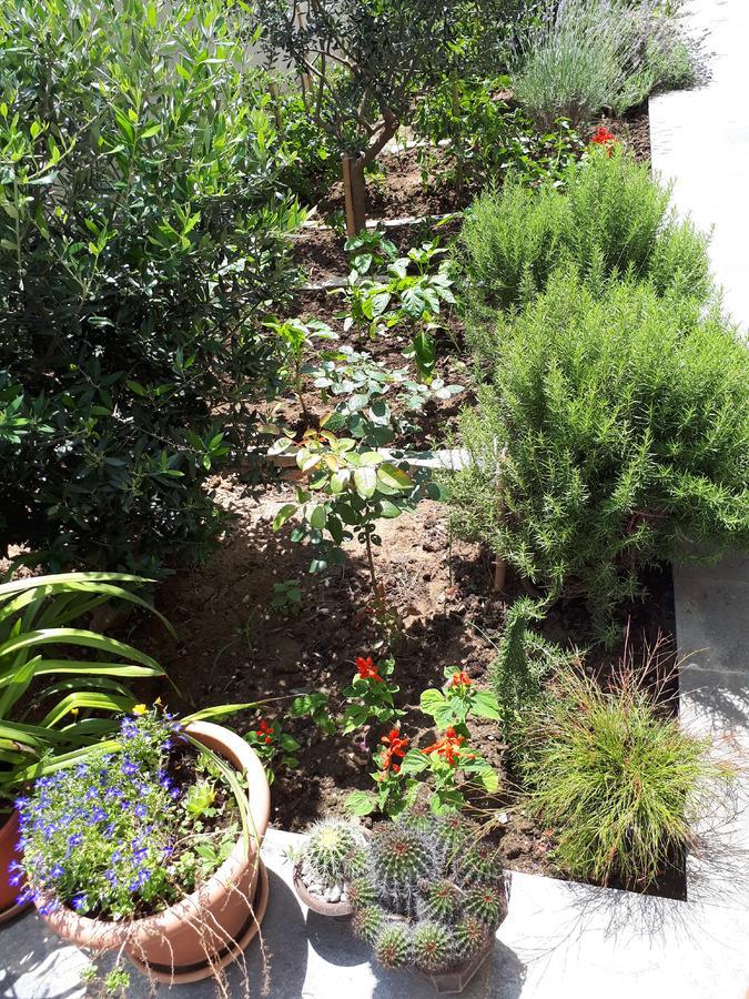 Apartments Brezanin Sutomore Εξωτερικό φωτογραφία